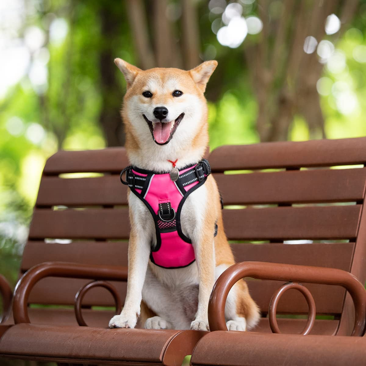 2019 Upgraded No Pull Dog Harness with 4 Snap Buckles, Reflective with Front & Back 2 Leash Hooks and an Easy Control Handle [NO Need Go over Dog’S Head]