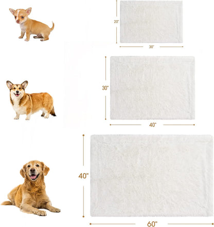 Premium Fluffy Pet Blanket for Medium Dogs, Fluffy Reversible Fleece Frenchie Puppy Blankets, Machine Washable, Soft, Warm Pets Throw Blanket 30X40 Inches Cream White