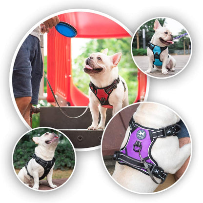 2019 Upgraded No Pull Dog Harness with 4 Snap Buckles, Reflective with Front & Back 2 Leash Hooks and an Easy Control Handle [NO Need Go over Dog’S Head]