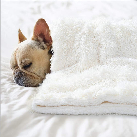 Premium Fluffy Pet Blanket for Medium Dogs, Fluffy Reversible Fleece Frenchie Puppy Blankets, Machine Washable, Soft, Warm Pets Throw Blanket 30X40 Inches Cream White